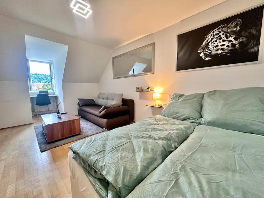 Panorama Schlossberg & Jacuzzi グラーツ エクステリア 写真