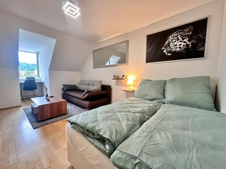 Panorama Schlossberg & Jacuzzi グラーツ エクステリア 写真